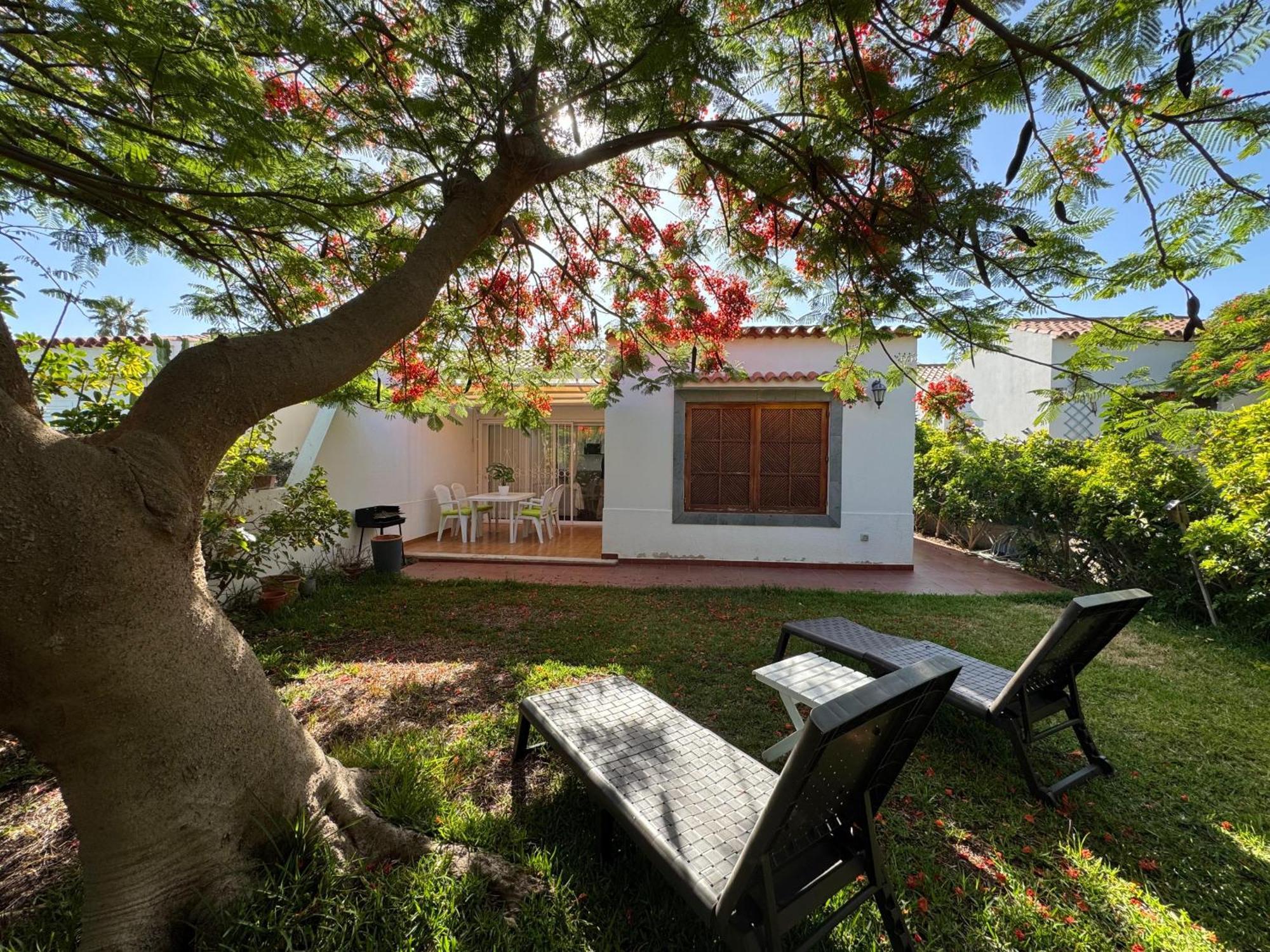 Deluxe Solycan - By Gestion Vacacional Canarias Holiday home